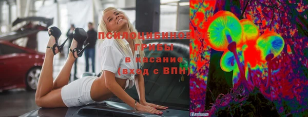 ГАЛЛЮЦИНОГЕННЫЕ ГРИБЫ Бородино