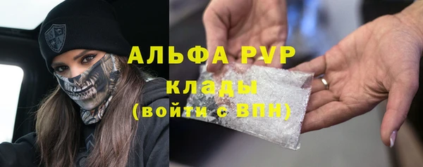 ГАЛЛЮЦИНОГЕННЫЕ ГРИБЫ Бородино