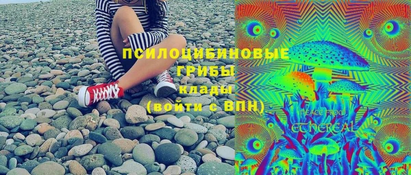 ГАЛЛЮЦИНОГЕННЫЕ ГРИБЫ Бородино