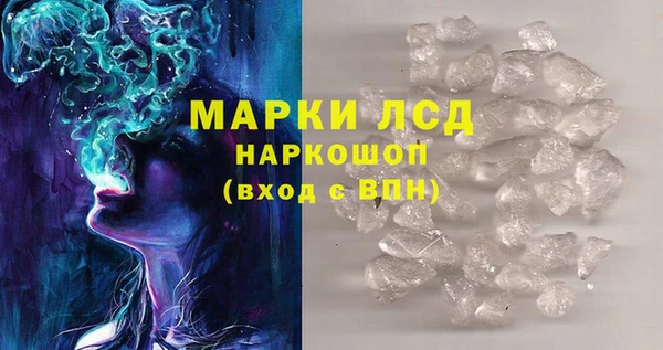 СК Бронницы