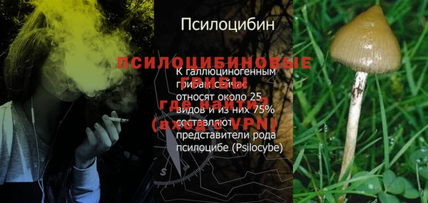 ГАЛЛЮЦИНОГЕННЫЕ ГРИБЫ Бородино