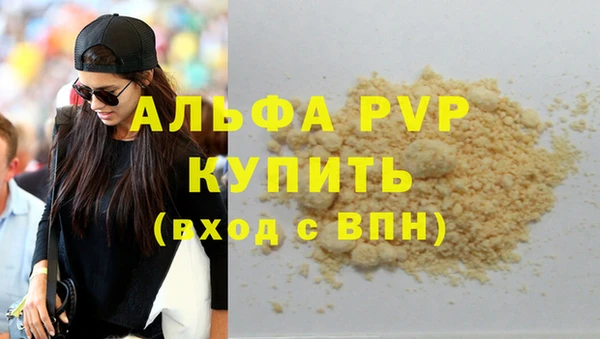 СК Бронницы