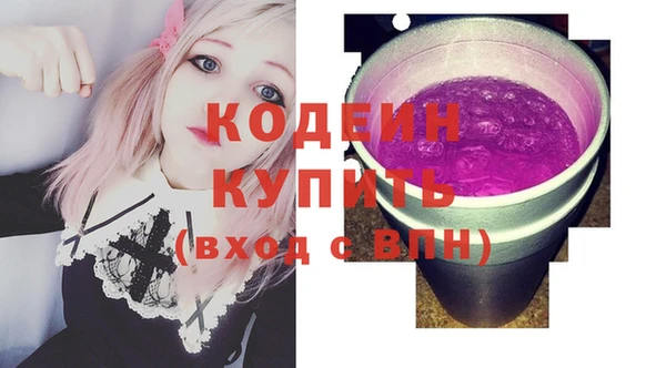 СК Бронницы