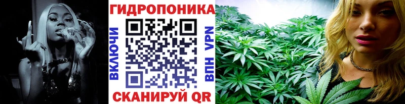 Купить  Малмыж  Конопля SATIVA & INDICA 